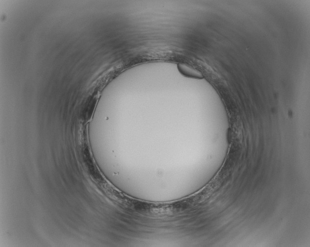 X0000067950744200605112125