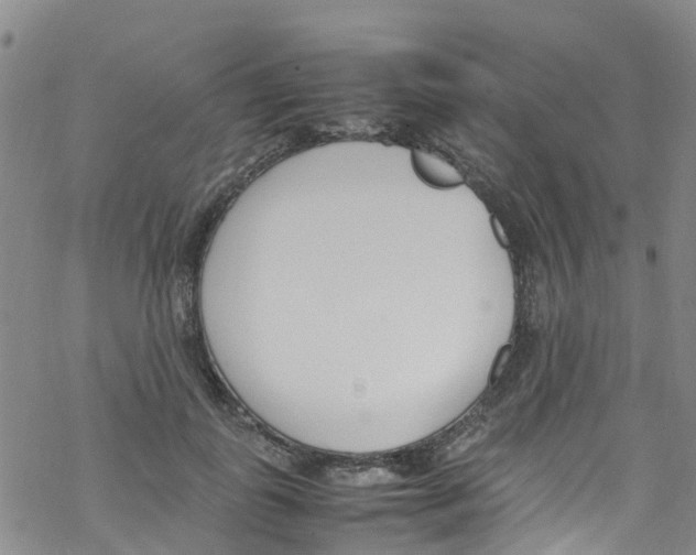 X0000067950747200605112125