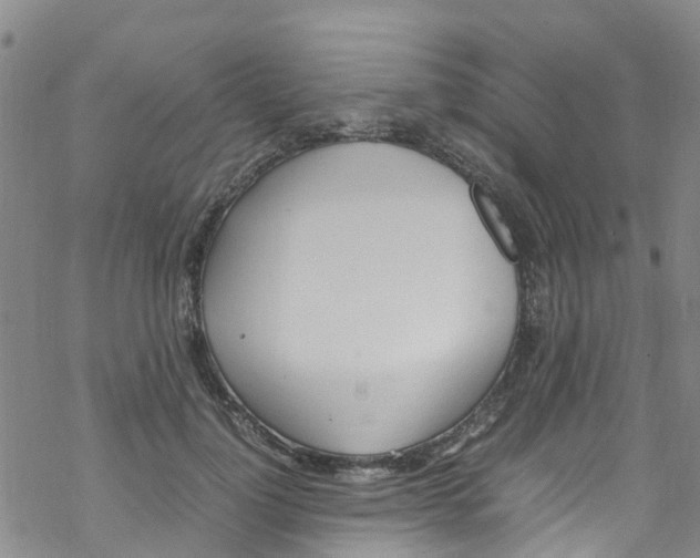 X0000067950748200605112125