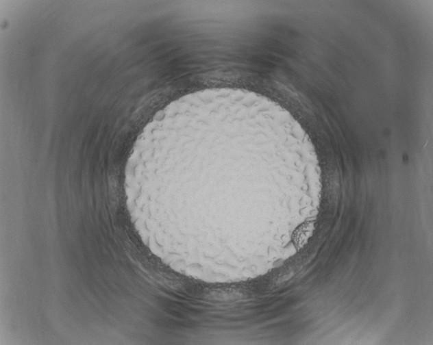 X0000067950749200605112125