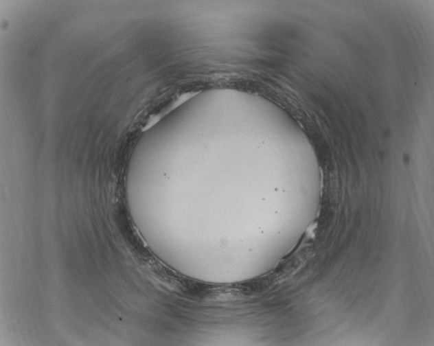 X0000067950750200605112125