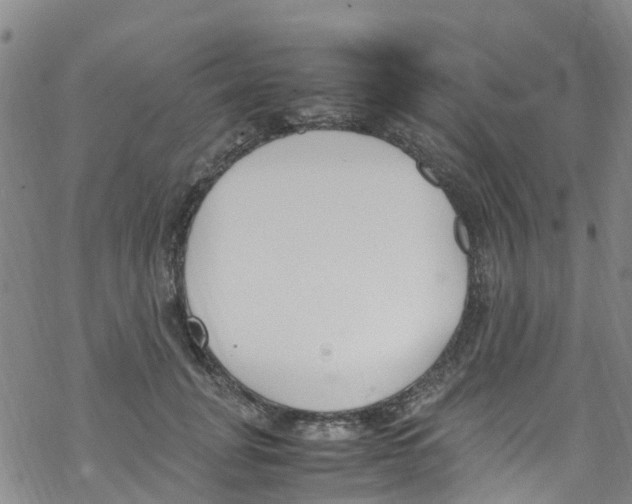 X0000067950751200605112125