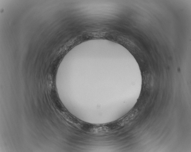 X0000067950752200605112125