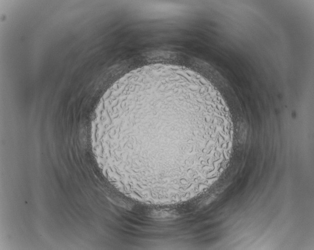 X0000067950753200605112125