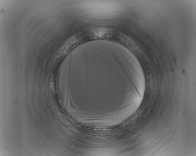 X0000067950754200605112125