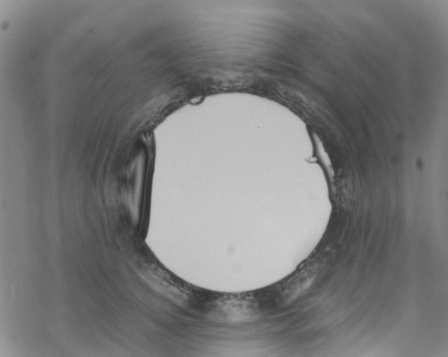 X0000067950756200605112125