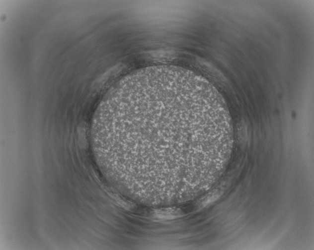 X0000067950757200605112125