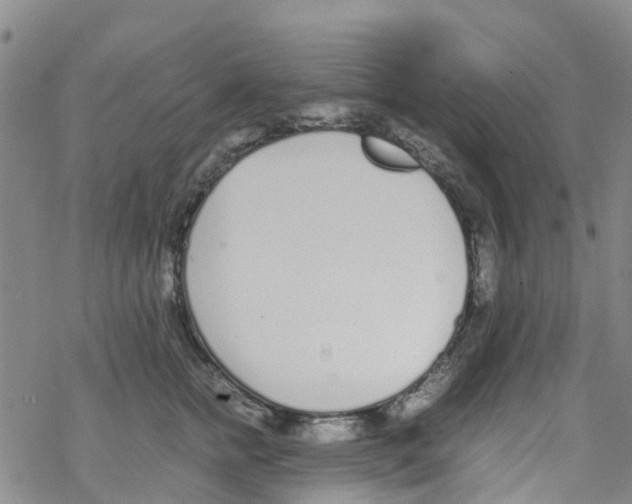 X0000067950758200605112125