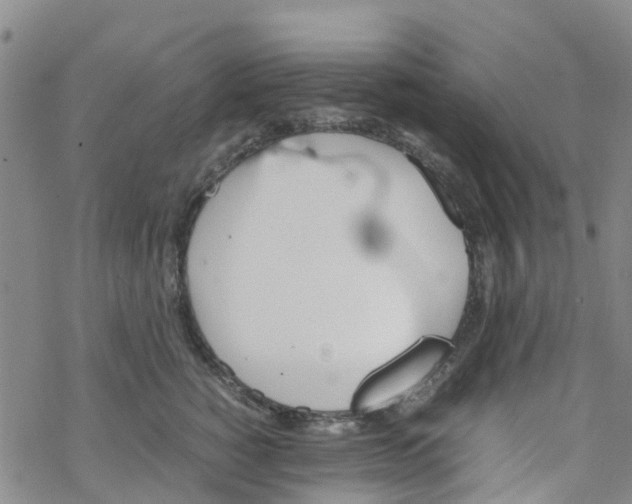 X0000067950760200605112125