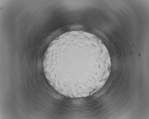 X0000067950761200605112125