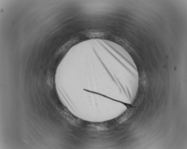 X0000067950763200605112125