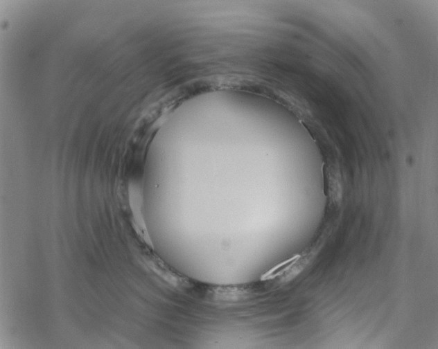 X0000067950766200605112125