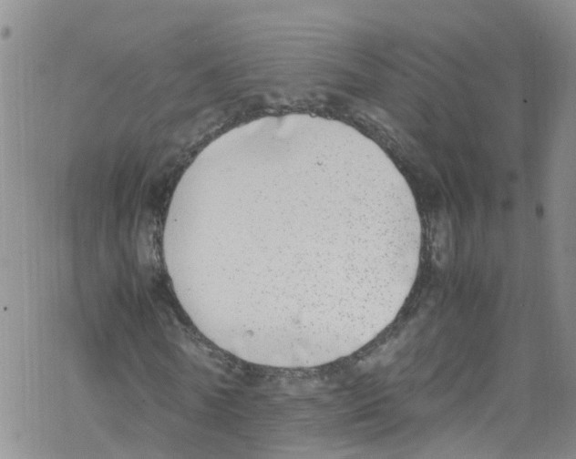 X0000067950770200605112124