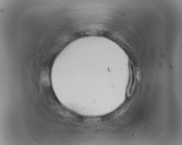 X0000067950771200605112124