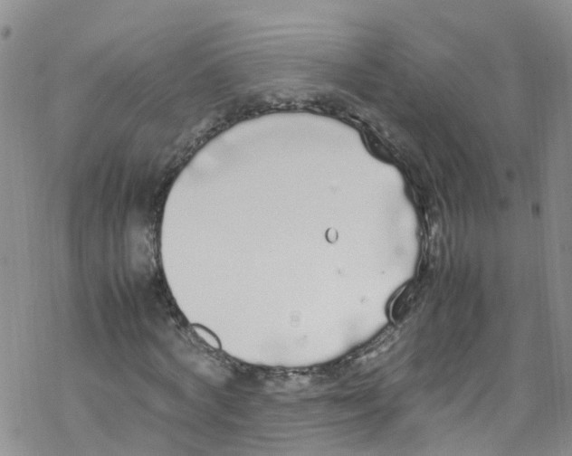 X0000067950772200605112124