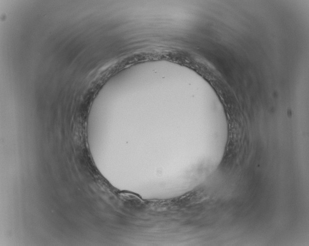 X0000067950773200605112124