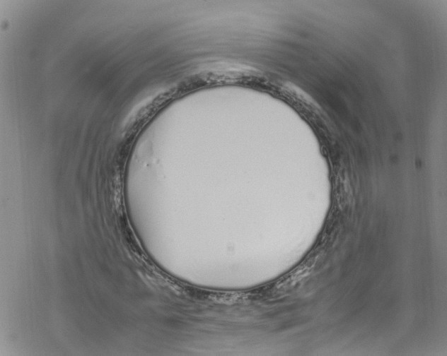 X0000067950775200605112124