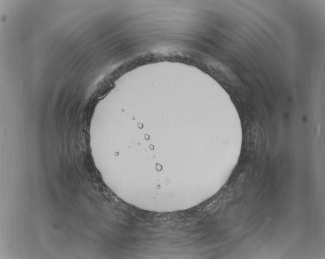 X0000067950776200605112124