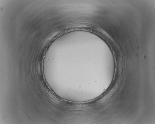 X0000067950777200605112124