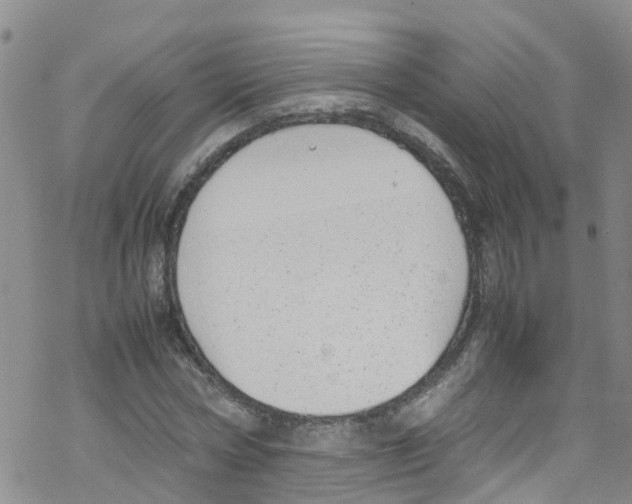 X0000067950778200605112124