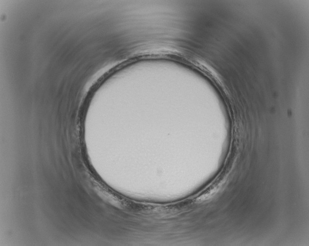 X0000067950779200605112124