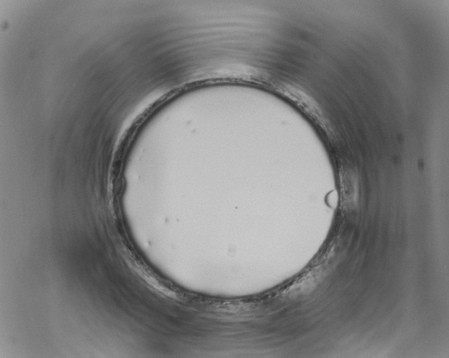 X0000067950780200605112124