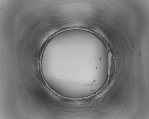 X0000067950781200605112124