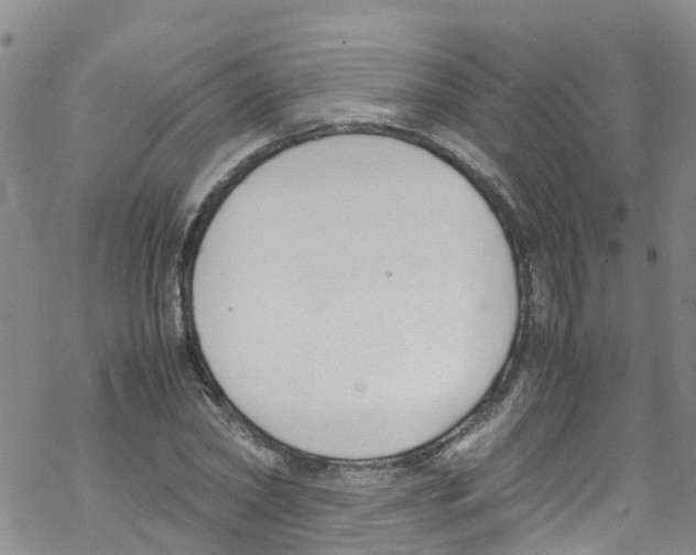 X0000067950782200605112124