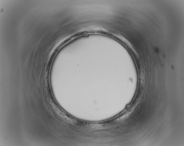 X0000067950783200605112124