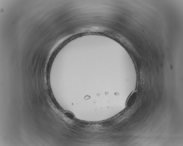 X0000067950784200605112124