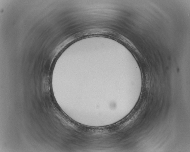 X0000067950786200605112124