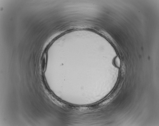 X0000067950787200605112124