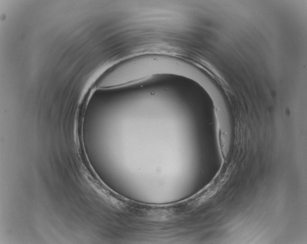 X0000067950788200605112124