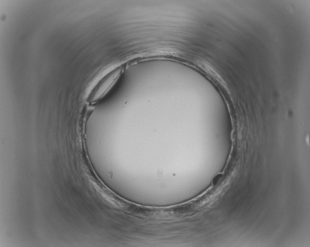 X0000067950789200605112124