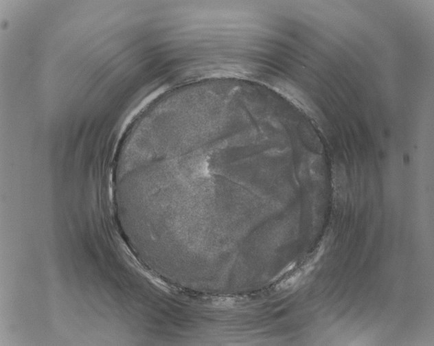 X0000067950790200605112124