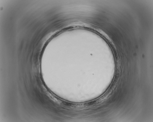 X0000067950791200605112124