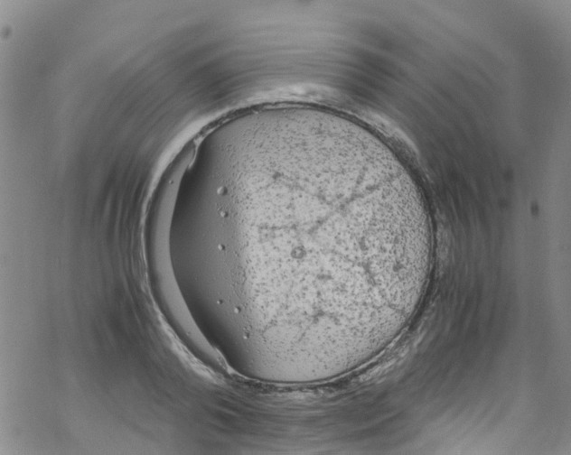 X0000067950792200605112124