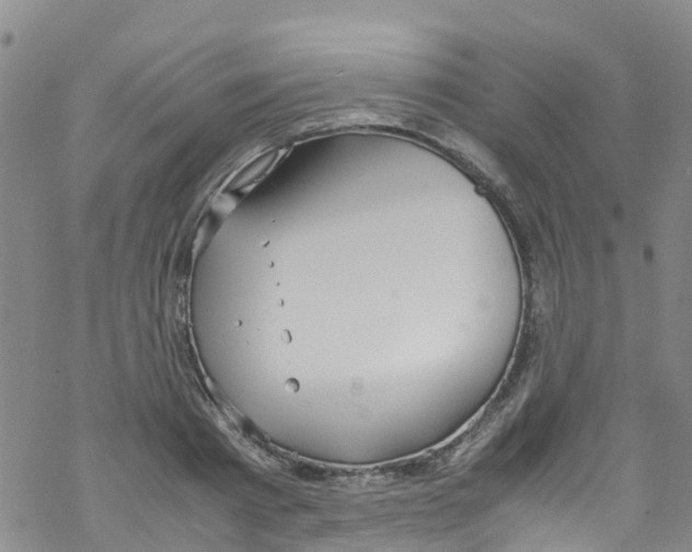 X0000067950793200605112124