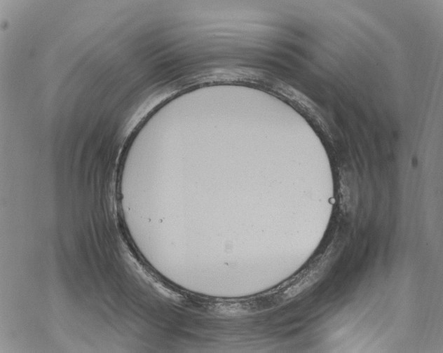 X0000067950794200605112124