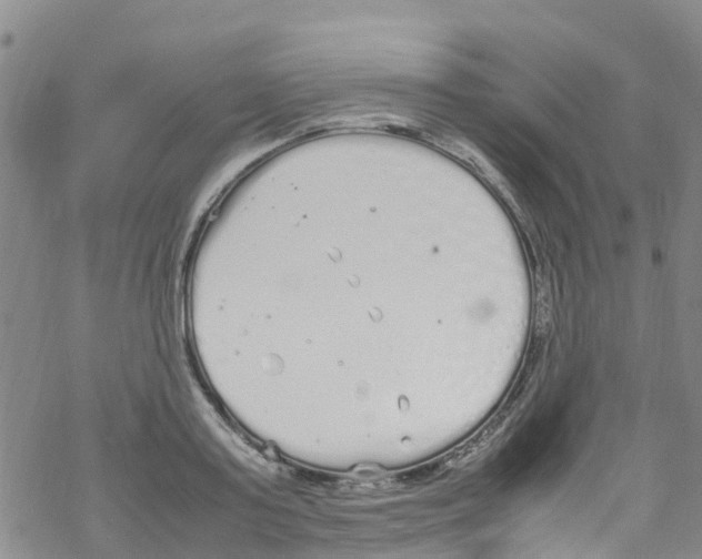 X0000067950795200605112124