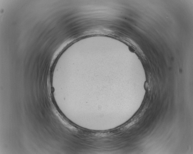 X0000067950796200605112124