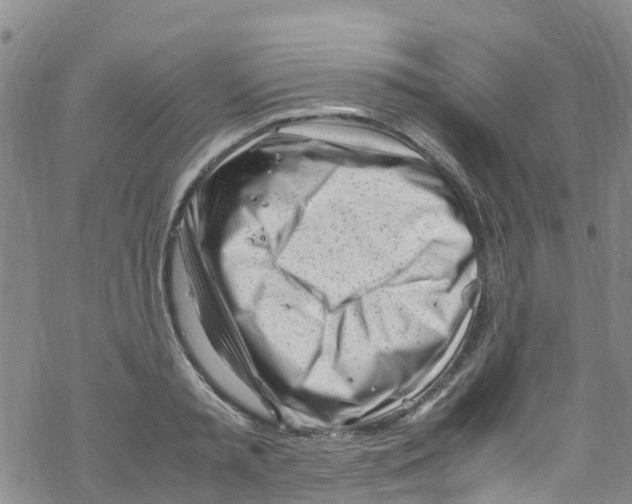 X0000067950797200605112124