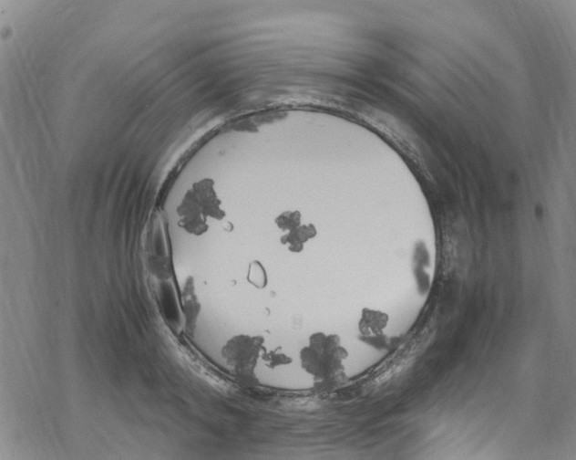 X0000067950798200605112124