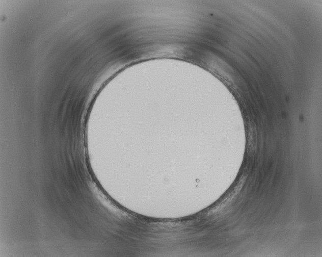 X0000067950800200605112124