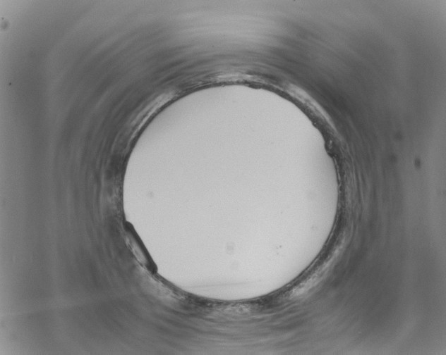 X0000067950801200605112124