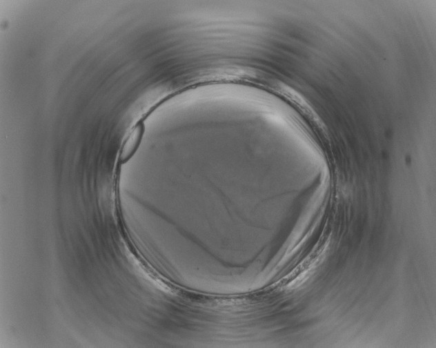 X0000067950802200605112124