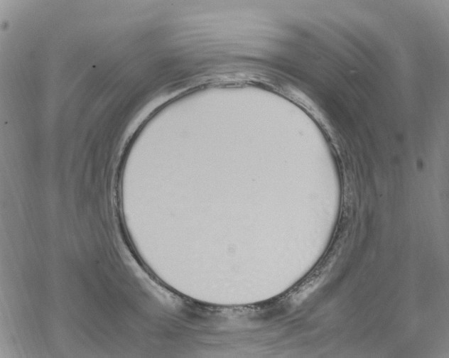 X0000067950803200605112124