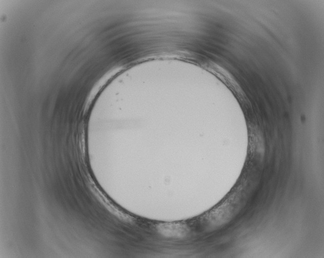 X0000067950804200605112124