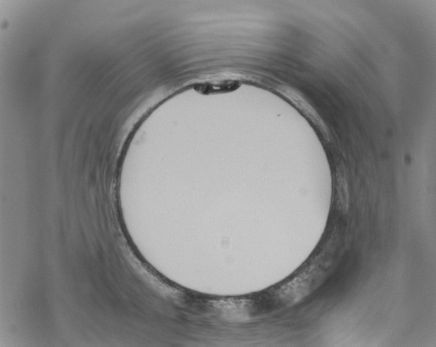 X0000067950805200605112124