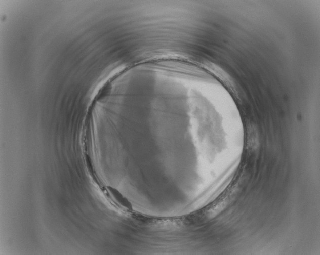 X0000067950806200605112124